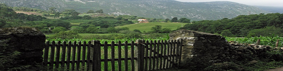 Imagen de cabecera